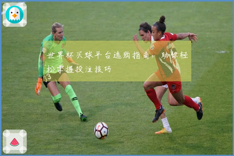 世界杯买球平台选购指南，助你轻松掌握投注技巧