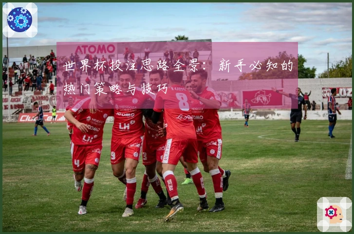 世界杯投注思路全景：新手必知的热门策略与技巧
