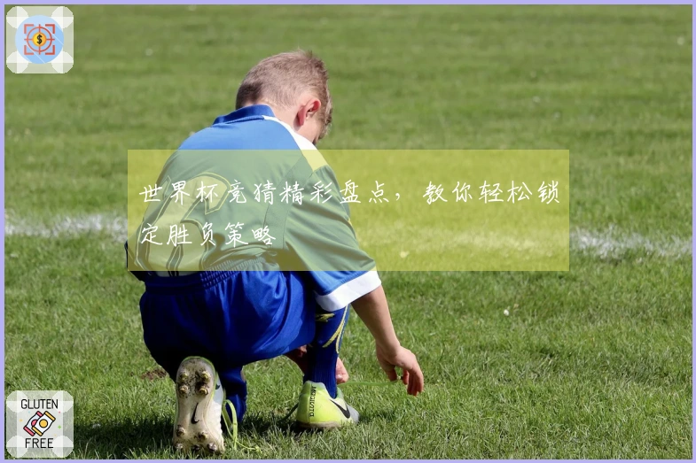 世界杯竞猜精彩盘点，教你轻松锁定胜负策略