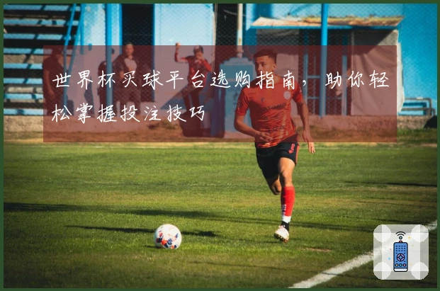 世界杯买球平台选购指南，助你轻松掌握投注技巧