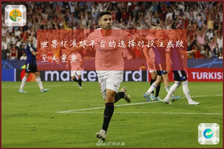 世界杯滚球平台的选择对投注成败至关重要