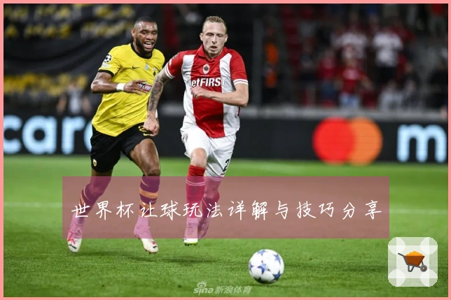 世界杯让球玩法详解与技巧分享