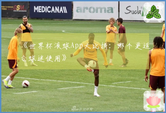 《世界杯滚球App大比拼：哪个更适合球迷使用》
