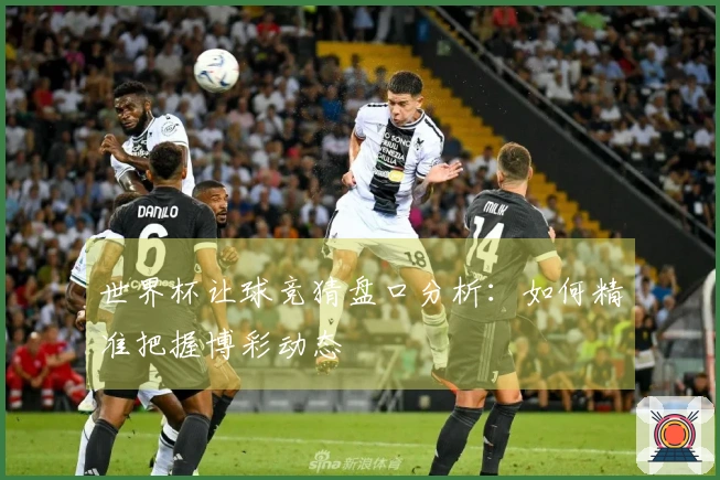 世界杯让球竞猜盘口分析：如何精准把握博彩动态