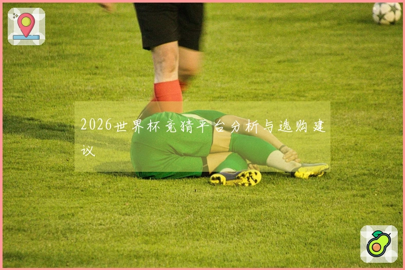 2026世界杯竞猜平台分析与选购建议