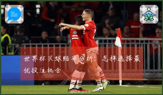 世界杯买球赔率分析：怎样选择最优投注机会