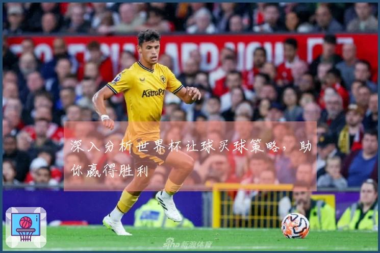深入分析世界杯让球买球策略，助你赢得胜利